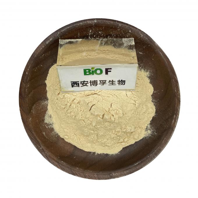 Bán buôn số lượng lớn Thực phẩm có độ tinh khiết cao Xanthan Gum CAS 11138-66-2 Chất lượng tốt nhất 0