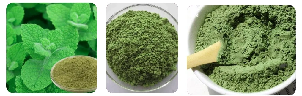 Bột lá bạc hà 100% tự nhiên, tự nhiên 1