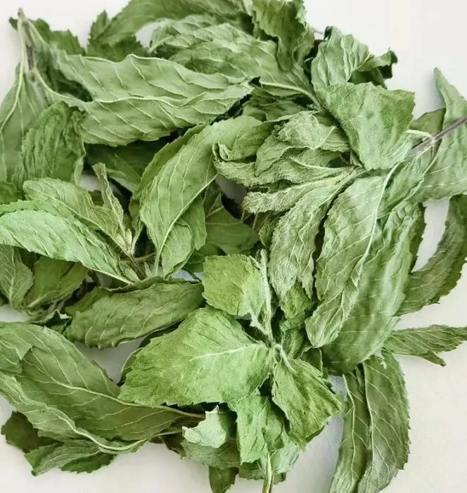 Bột lá bạc hà 100% tự nhiên, tự nhiên 0
