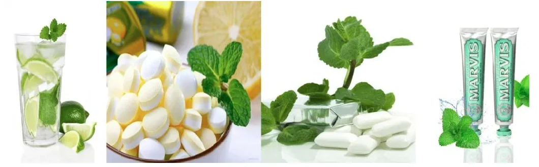 Bột lá bạc hà 100% tự nhiên, tự nhiên 4