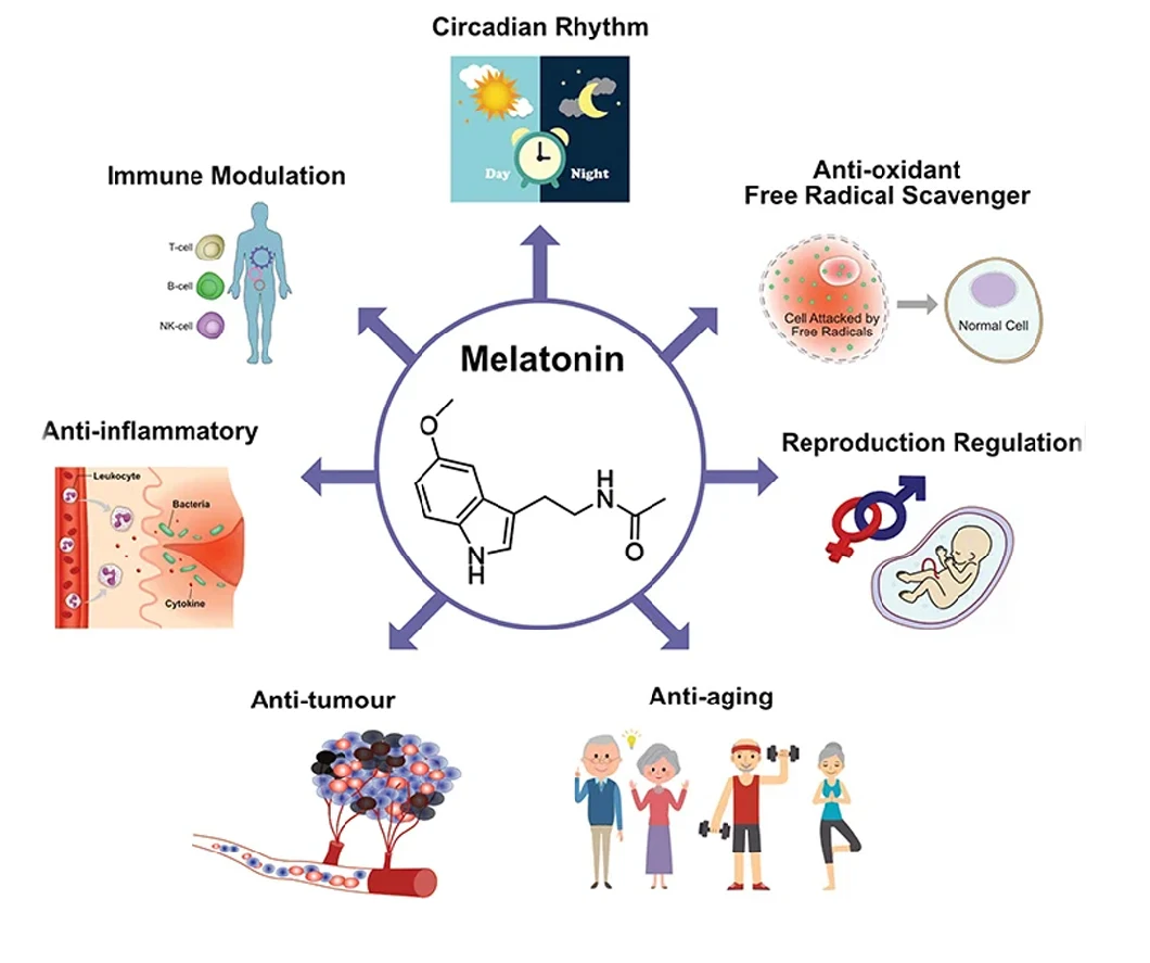 Melatonin CAS 73-31-4 Melatonin để điều chỉnh giấc ngủ Cải thiện màu trắng 99% 1