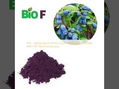 Thuốc bổ sung thảo dược tự nhiên chống lão hóa Indigo Powder 40% OPC Relief Asthenopia