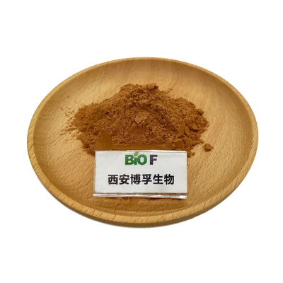 Organic Green Tea Extract Powder Herb Tea Polyphenols 98% Health Care Brown Yellow