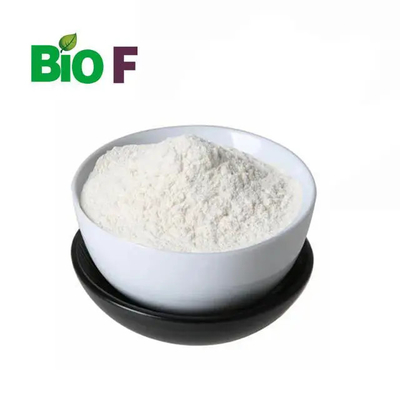 Food Additive Roasted Garlic Powder Herbal Extract Garlic Powder