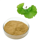 Ginkgo Biloba Extract Flavonoid Terpene Lactones Powder Healthcare Grade Yellow Brown