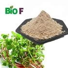 Food Additive Bacopa Monnieri Extract Purslane Saponins Powder Purslane Leaf Extract