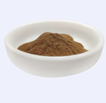 Hiệu quả cao 100% Hamamelis tự nhiên Virginiana Witch Hazel chiết xuất cho mỹ phẩm nguyên liệu nguyên liệu Thời hạn sử dụng 24 tháng